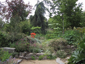 Geno S Garden Design Coaching William Land Park S Rock Garden