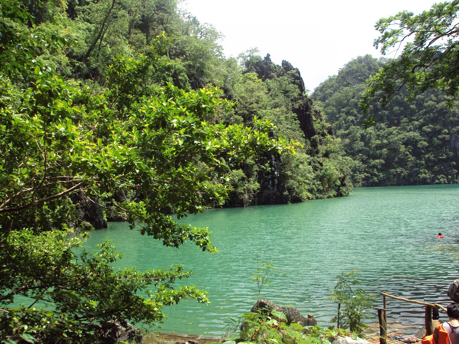 [DSC00778.JPG]