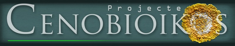 cenobioikos