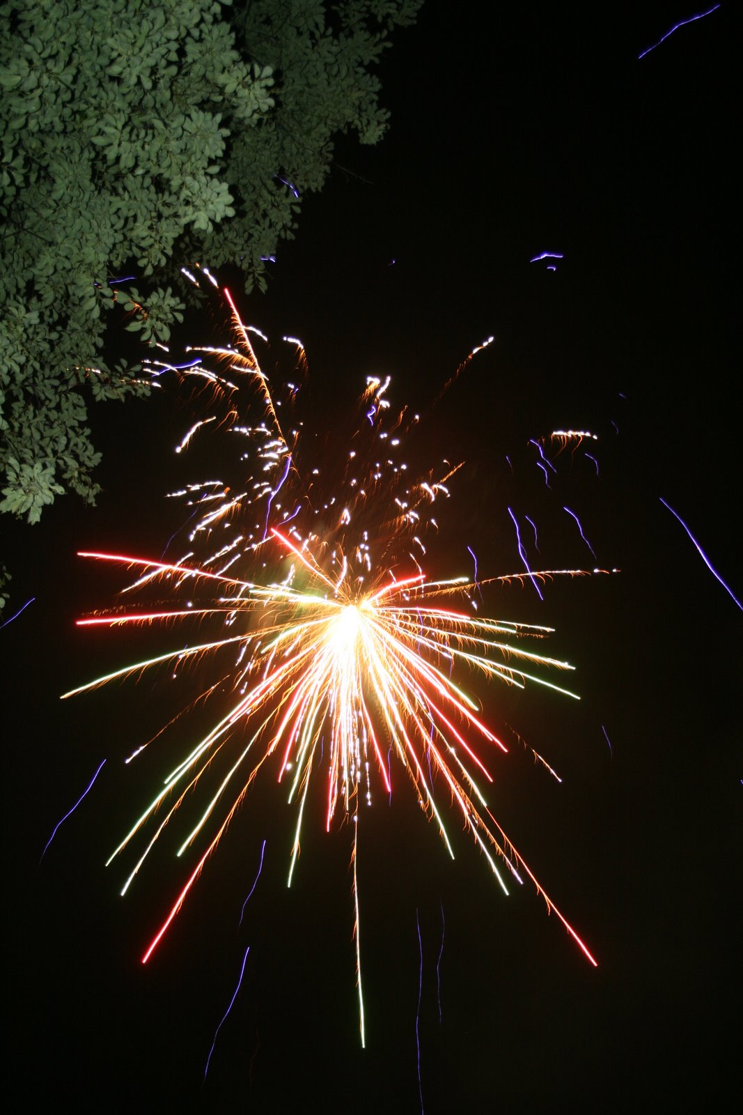 [IMG_3529.jpg]