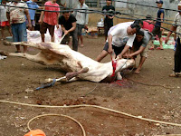 http://muhakbarilyas.blogspot.com/2012/08/hikmah-disyariatkanya-berkurban.html