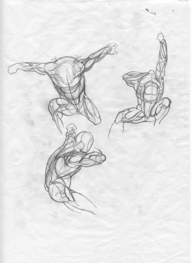 Matt's Art Blog: Anatomy Studies