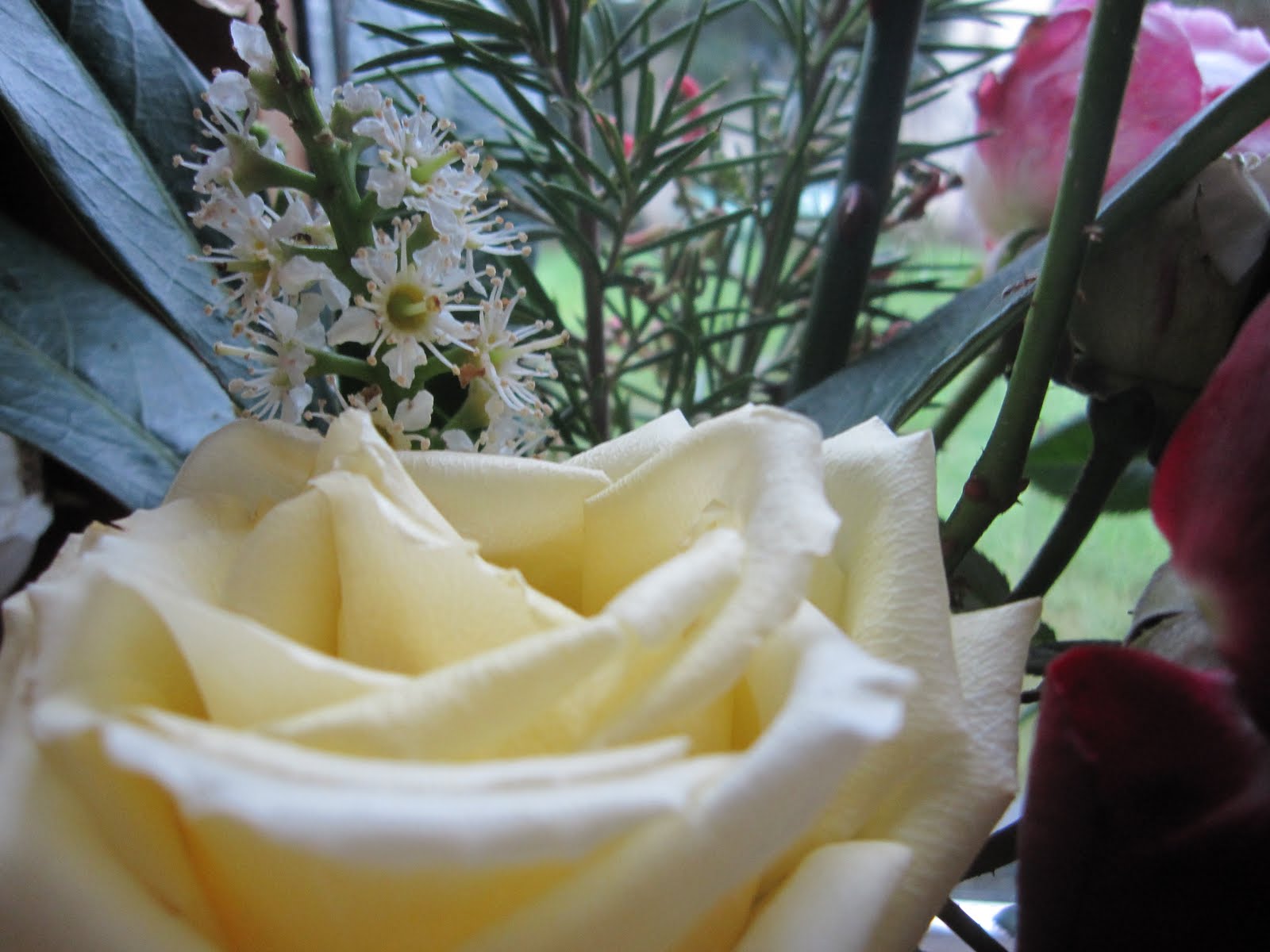 [IMG_1432.JPG]