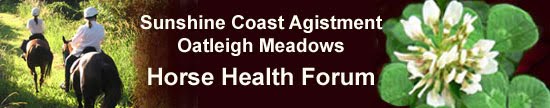 Horse Health