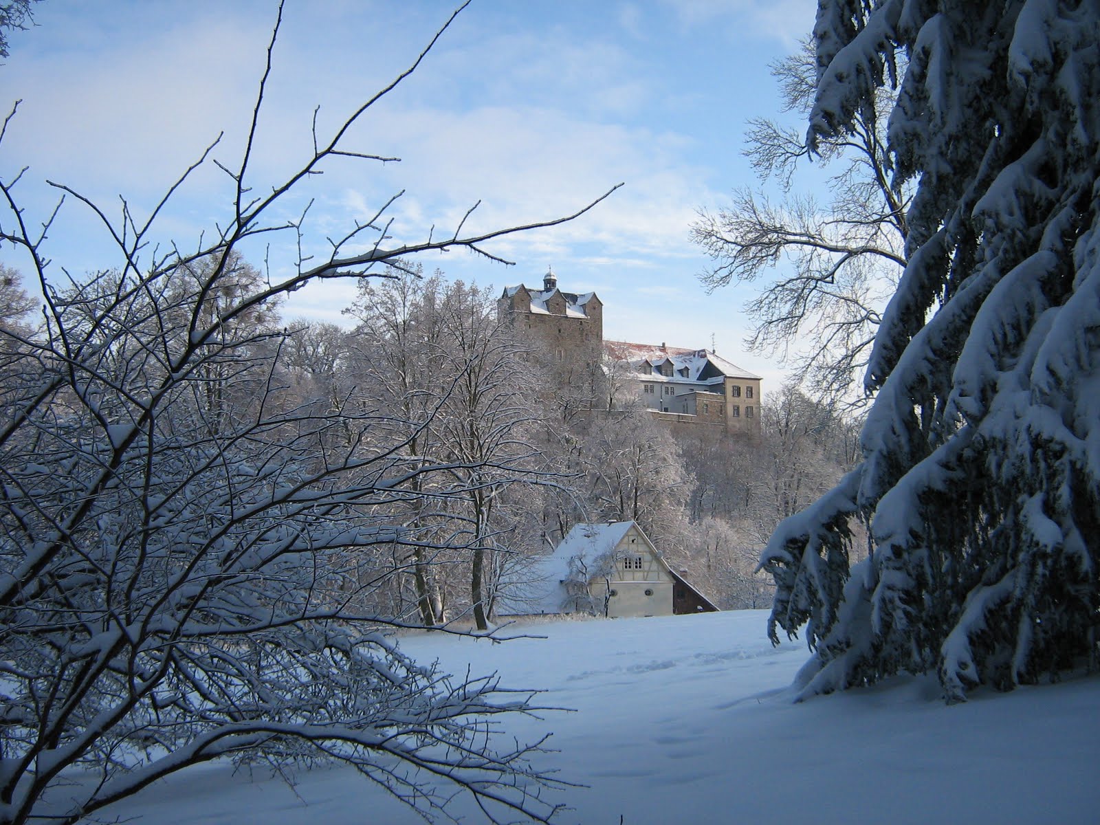 [IMG_1386.JPG]
