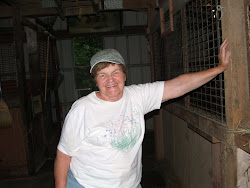 Kathy Starting Her Day In Barn