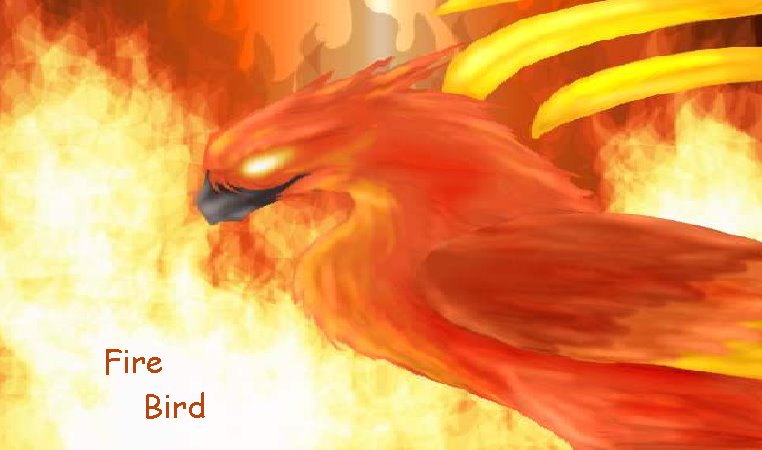 Fire Bird Nation