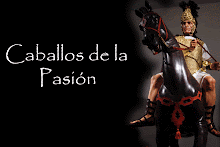 Especial: Caballos de la Pasión