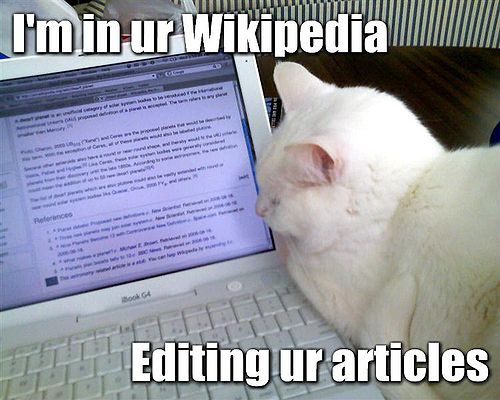 Lolcat Promotion