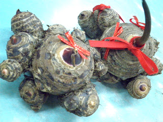 Taro – the odd shape of multiple fruits sprouting from just one root signifies the flourishing of the family in terms of descendants and the growing of the family business.