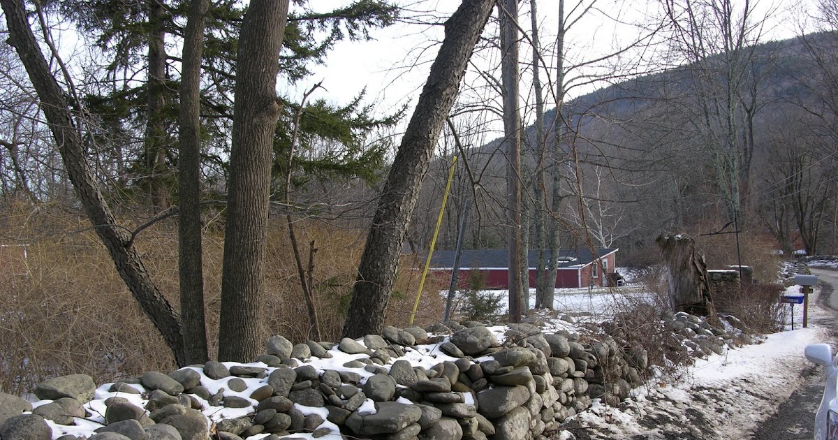 Mitchell Langbert's Blog West Shokan, New York 142009