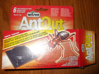 Kill Ants