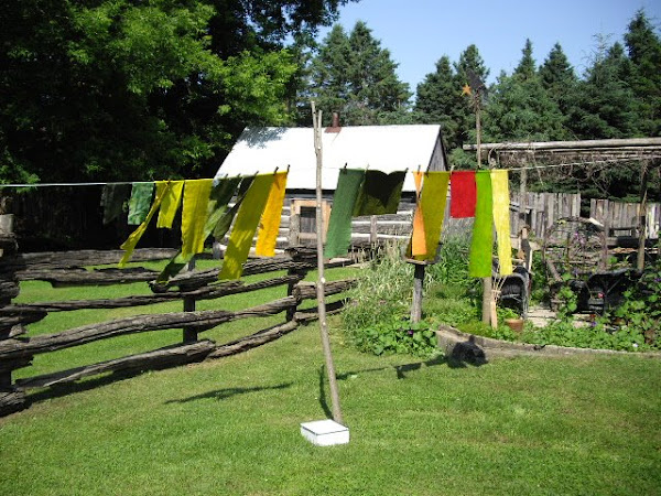 It's a good drying day Margaret!