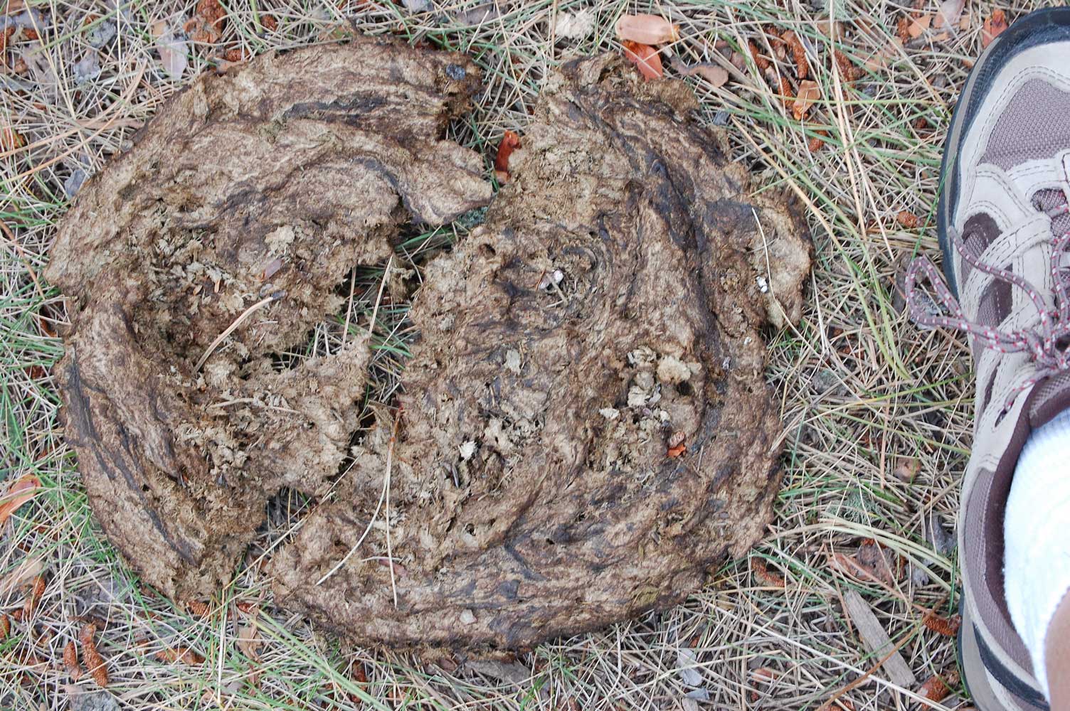 Tales from the Highway September 2010