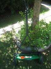 Spot's Mower