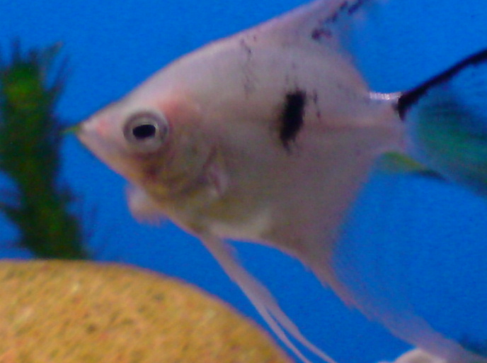 [image-upload-567-796985.jpg]