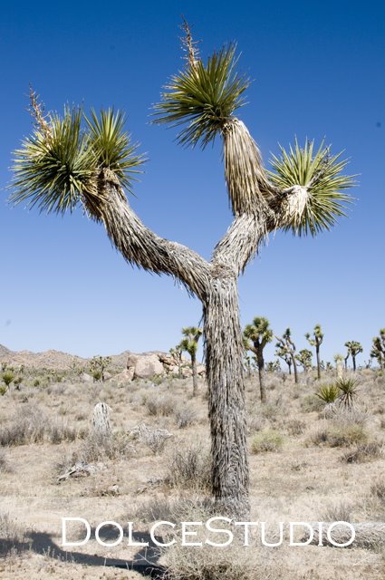 [JTNP7.jpg]