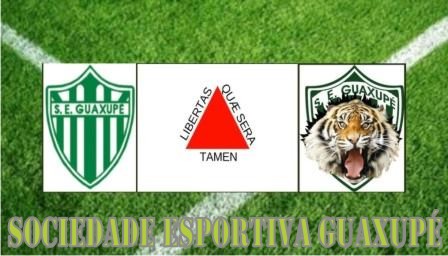 Sociedade Esportiva Guaxupé