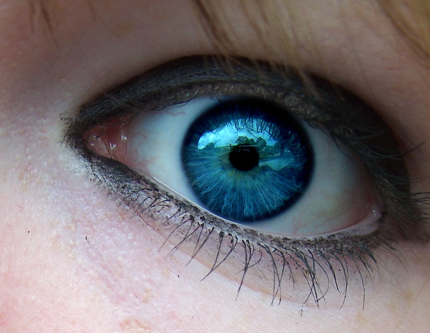 tenia los ojos tan azules que era la envidia de los mares su mirada ... tenia los ojos tan azules que era la envidia de los mares su mirada ...
