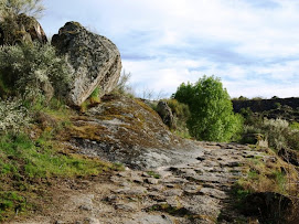 Calzada romana L-5 en el Picón de Felipe