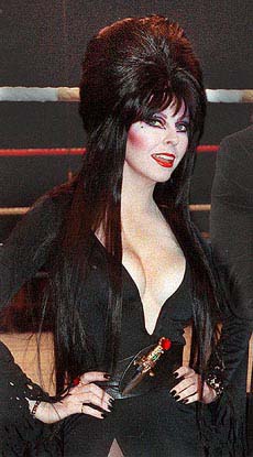 THIS IS THE STAGE COSTUME OF ELVIRA