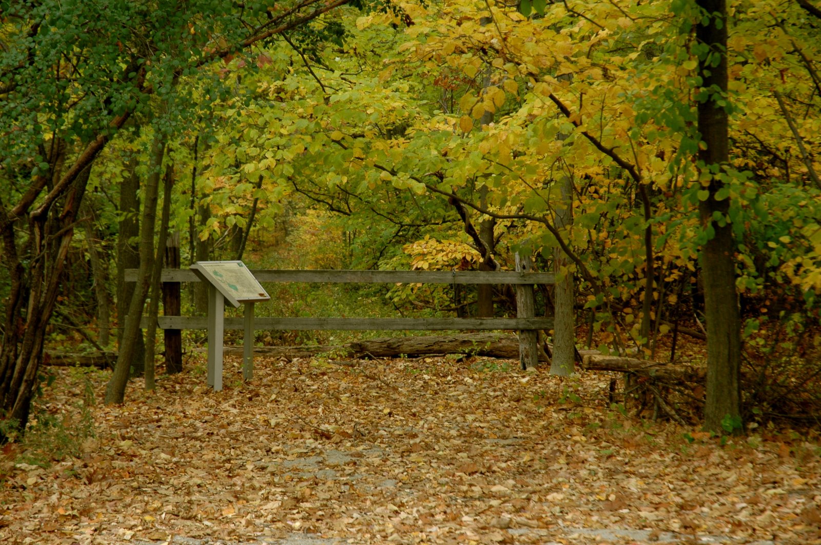 [DSC_1392.JPG]