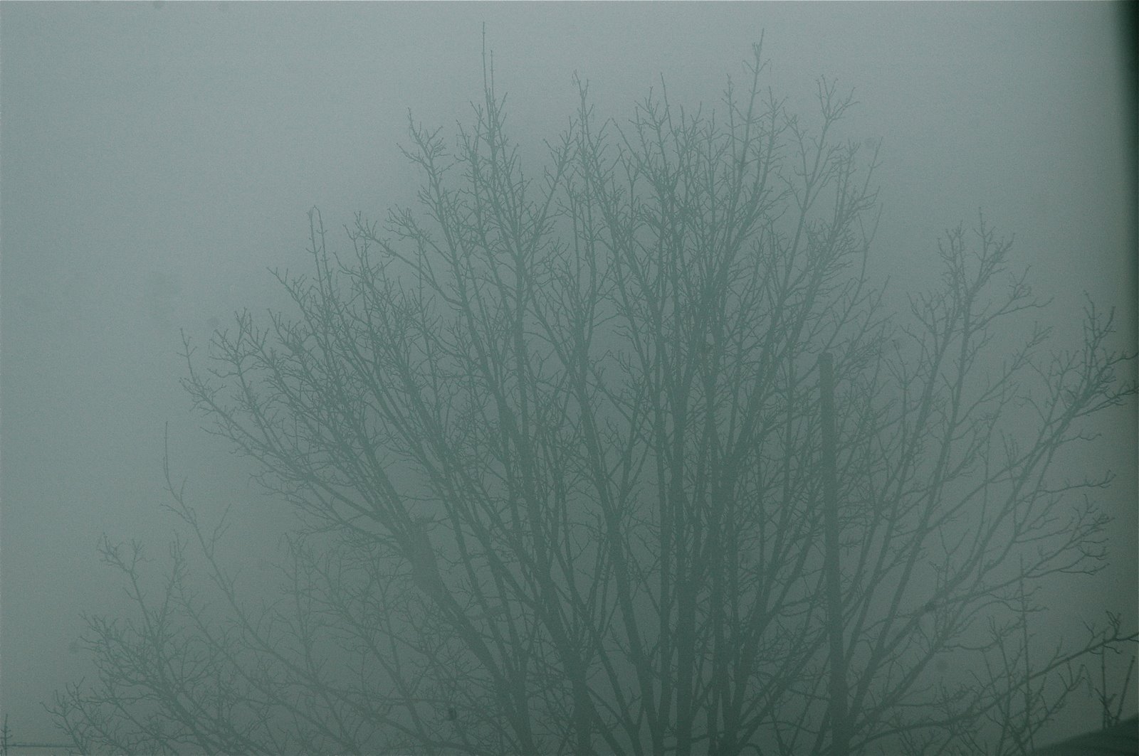 [DSC_6349.JPG]