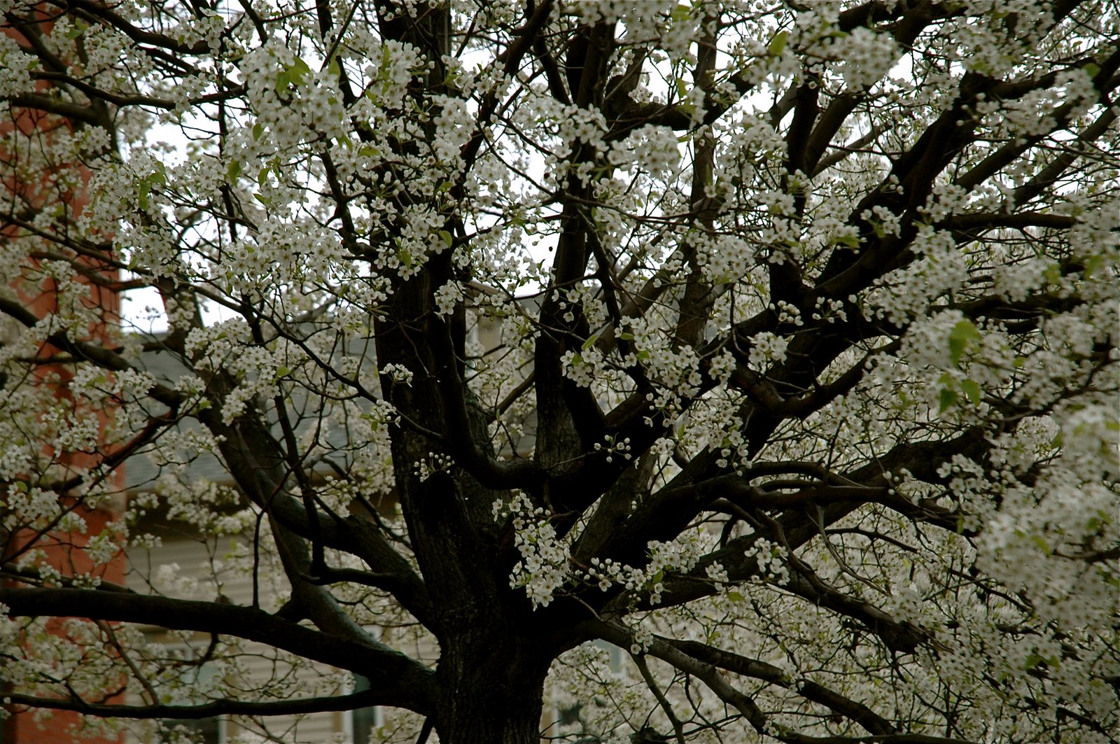 [DSC_0067.JPG]