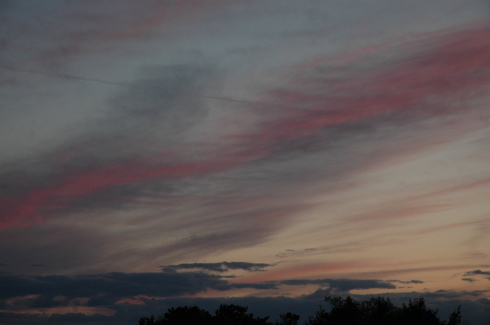[DSC_0853.JPG]