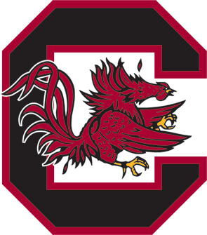 Image result for South Carolina Logo