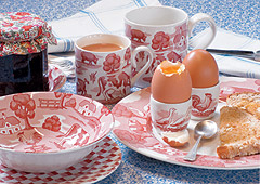 [HOME_FARM_RED_cat.jpg]