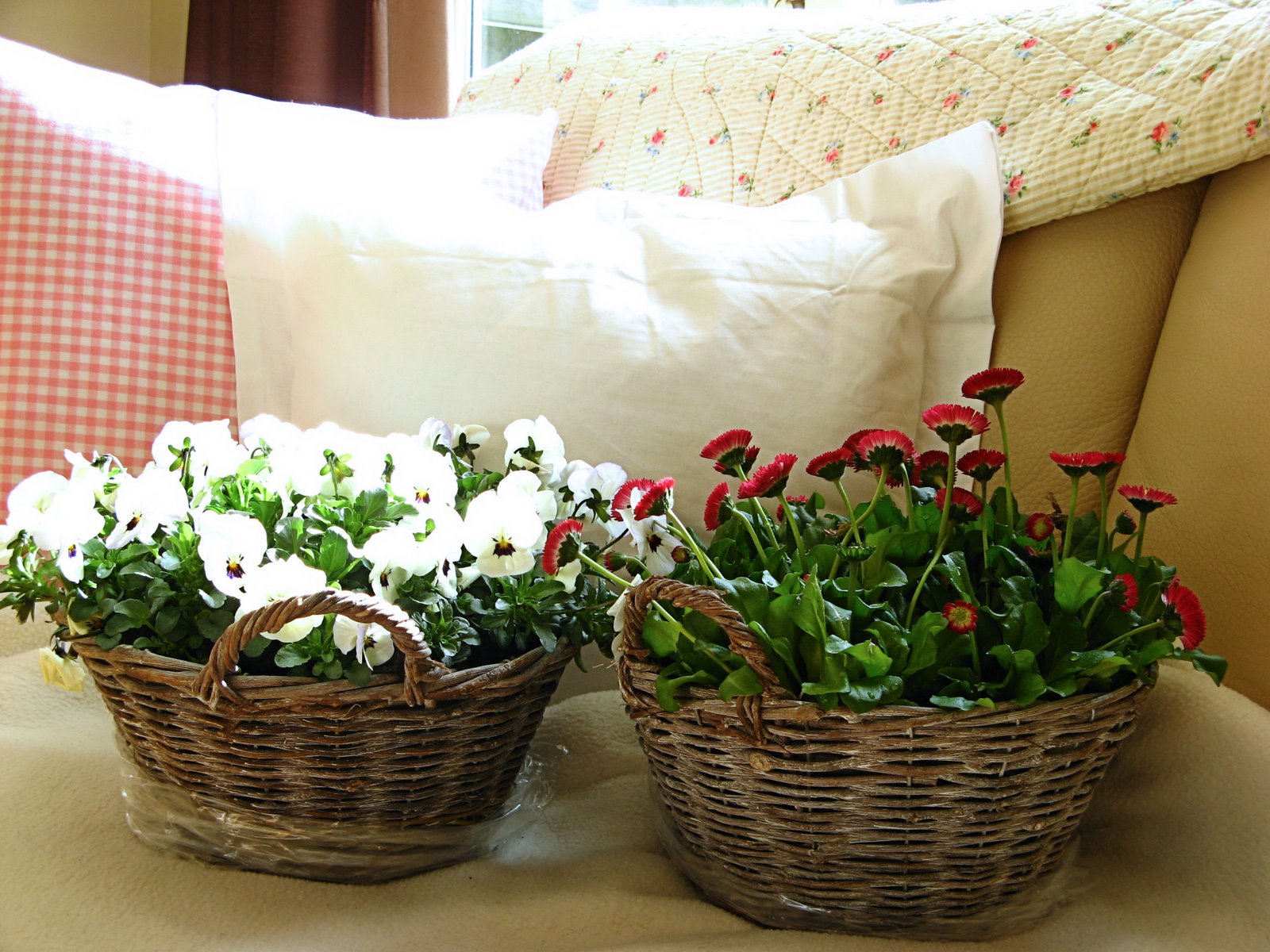 [IMG_0554a.jpg]
