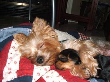 [SafeRedirect25.jpg]