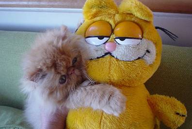 [SafeRedirect14.jpg]