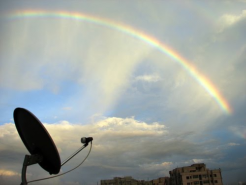 [dthwith+rainbow.jpg]