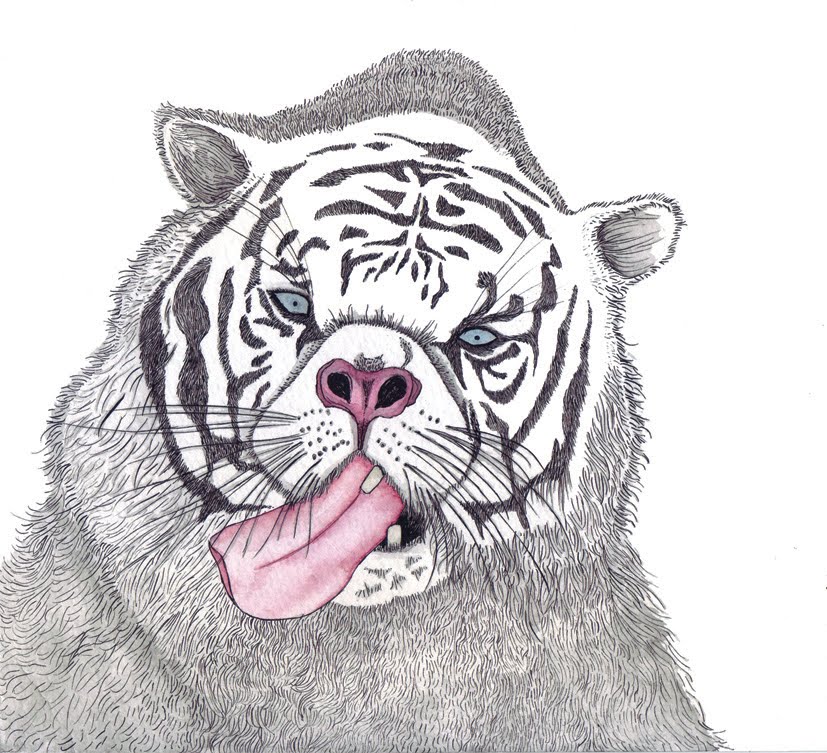 clothes and stuff online deformed white tiger pictures