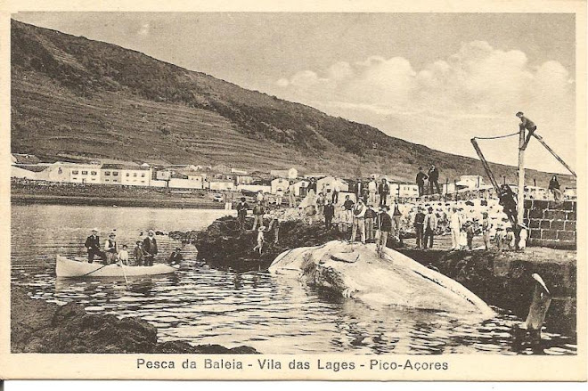 PESCA DA BALEIA NAS LAJES DO PICO