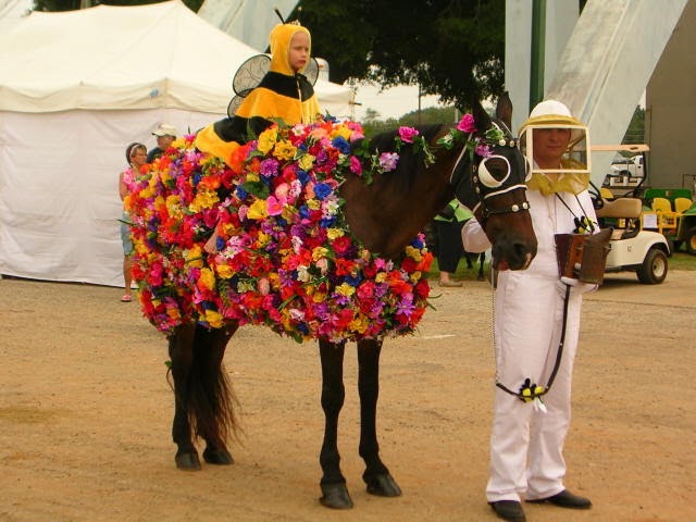 Horse Fancy Dress Ideas: Bumble Bee
