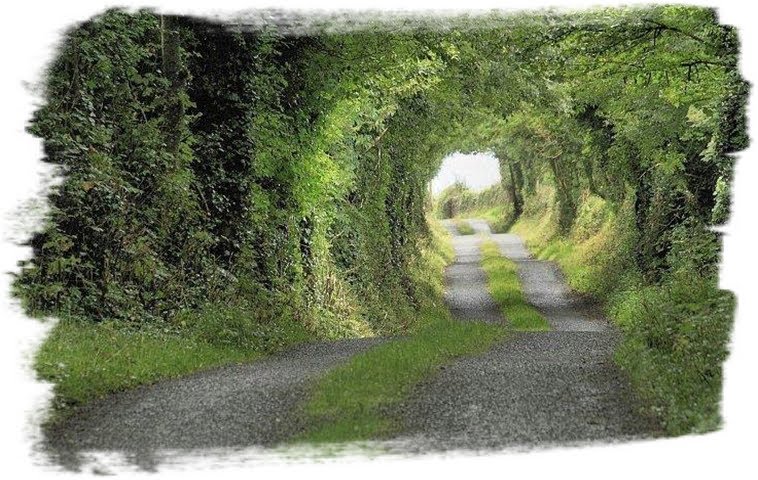 [homeward_bound.bmp]