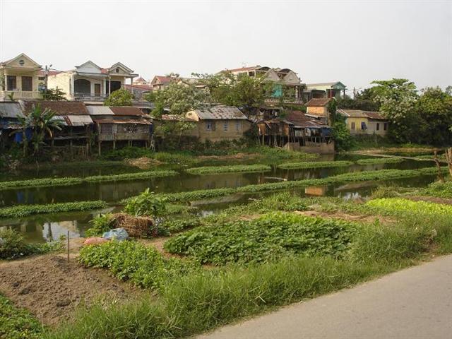 [DSC06459.JPG]
