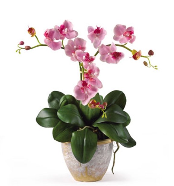 My Enchanting Silk Garden Flowers That Won’t Make You Sneeze