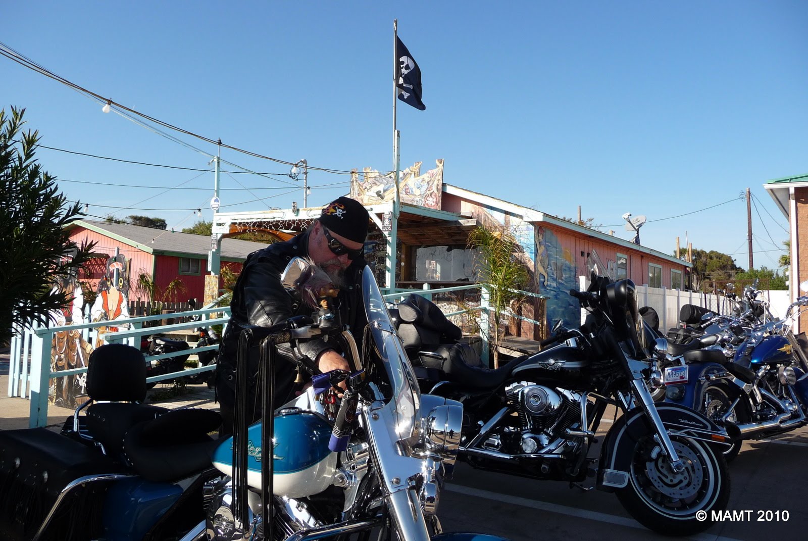 IN THE WIND Adventures of... Mary Ann and William Belt Sander Races!