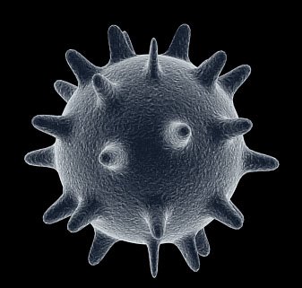 [electron7.jpg]