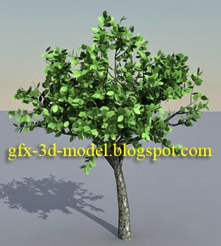 [tree_season.jpg]