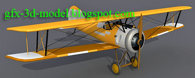[biplane.jpg]