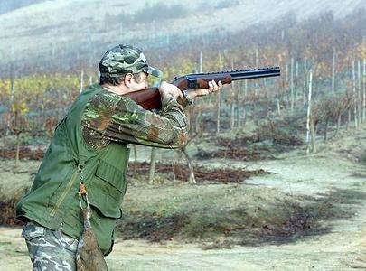 [Stephen-Harper-Gun-Raffle2.jpeg]