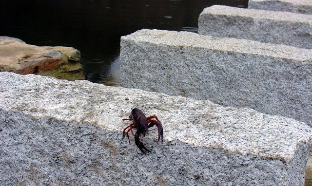 trânsito mais lento