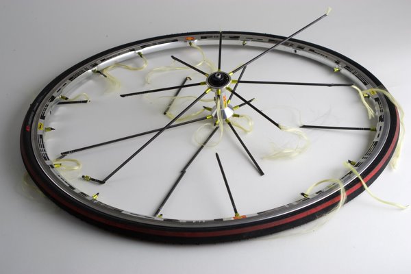 [1wheel.jpg]