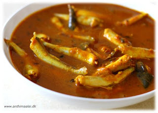 anchovycurry.jpg