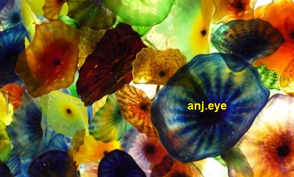 anj.eye